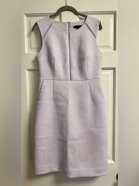 Like New - J.Crew Lilac Dress (8P)